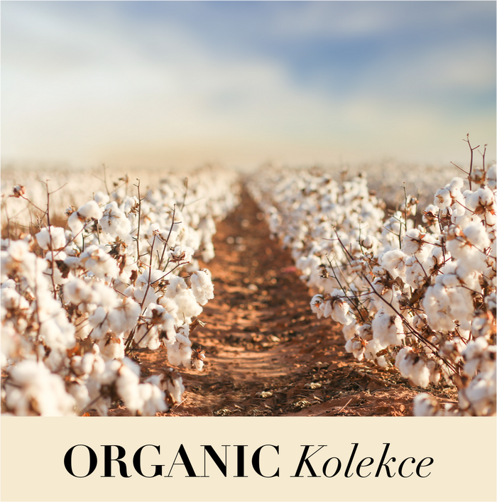 kOLEKCE ORGANIC
